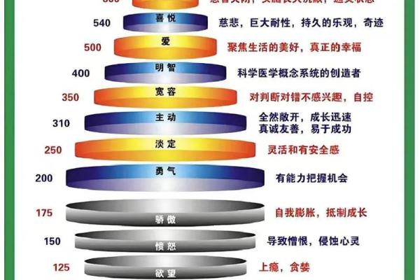 探索2016火命的深刻含义与人生启示