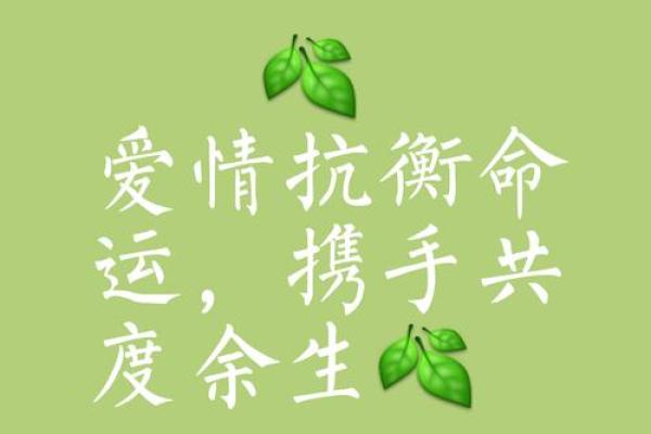 一命换一命：在生命的交错中寻找真爱的希望与勇气