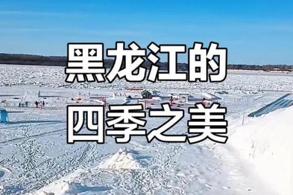黑龙江的气息与命运：从自然到人文的探索之旅
