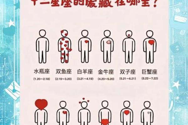 关于什么生肖的星座命最好：揭秘命运最优的生肖星座