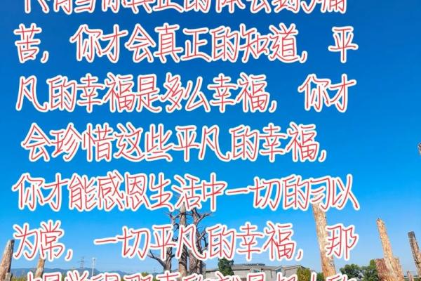 平凡如常：探寻命格的内涵与人生的美好