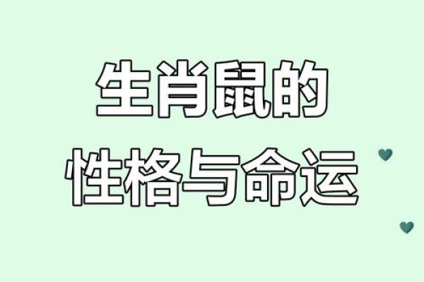 八八年属什么？揭秘鼠年人的命运与人生轨迹！