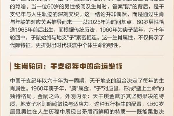 八八年属什么？揭秘鼠年人的命运与人生轨迹！