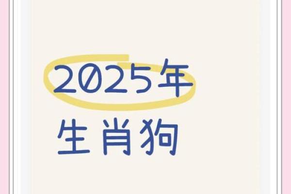 94年女属狗的命运分析与生活建议