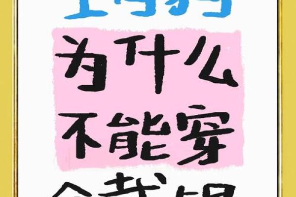 94年女属狗的命运分析与生活建议