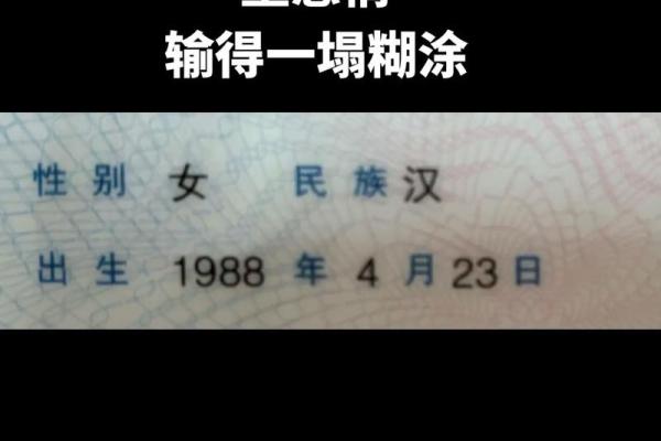1988年属龙的命运解析：解读龙年的神秘力量与生活智慧