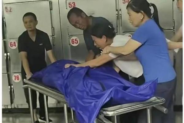 探秘：遭遇车祸命运背后的深层原因与启示