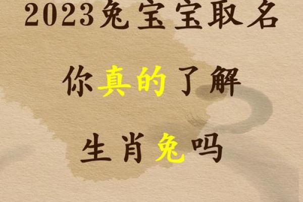 探索木兔命的神秘与魅力：1975年的生肖故事