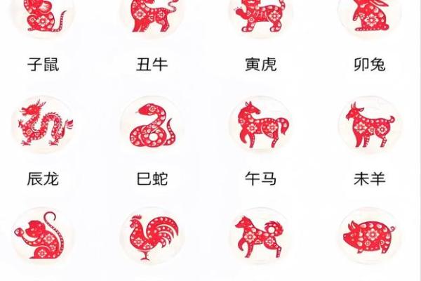 1984年属相分析：揭秘鼠年命运与性格特点的奥秘