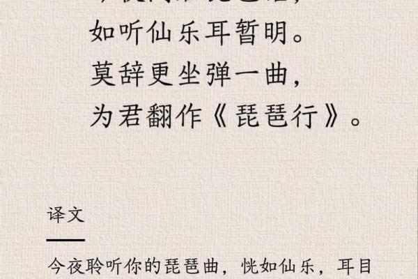 命似琵琶：探寻人生的韵味与命运的旋律
