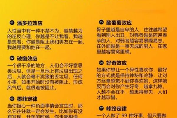 命理大师教你看透人生：如何用命理解锁你的潜能与命运