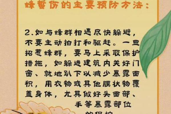 蜜蜂命的深刻含义与生活启示