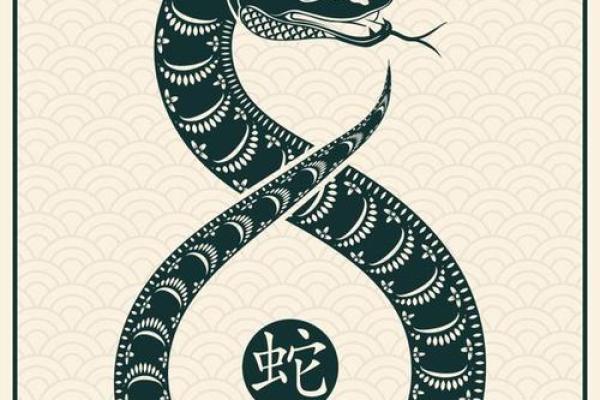 探索42岁属龙人的命运与人生智慧：心灵与事业的璀璨之路