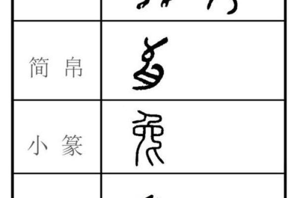 探秘63年卯兔命运：兔年的吉祥与人生哲学解析