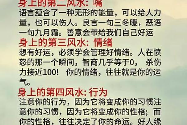风水与命运：为什么风水很脏却命很好？探寻内在智慧与环境关系