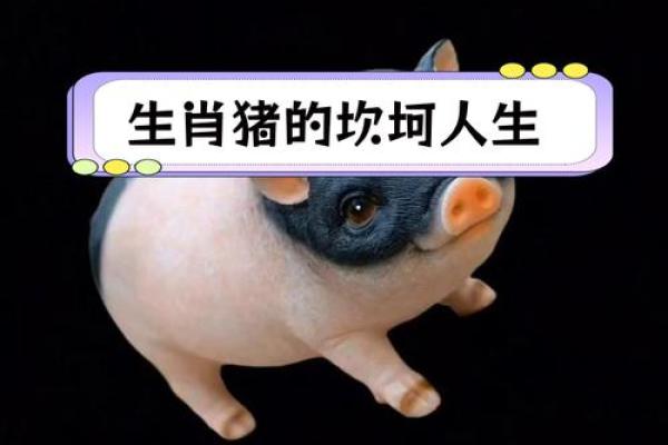 1983年属猪女的人生命运如何？解密她们的性格与运势！