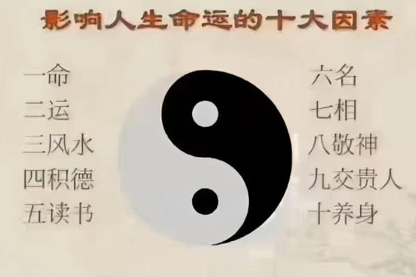1992-1993年出生的命运与人生解析：揭示这一时代的独特特征与优势