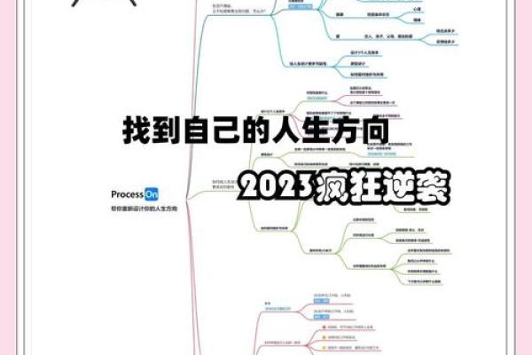 如何透视自我命主，找到人生的方向和意义