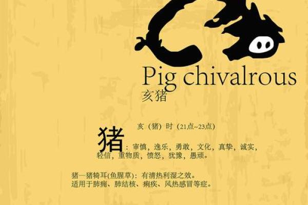 2031年猪年属相分析：命运与性格的深度解读