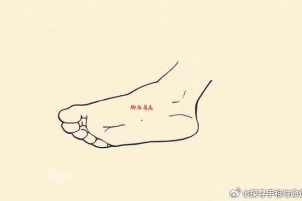 脚心长痦子的命运解析：从相学角度看人生的不同篇章