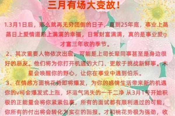 揭开2006年属狗之命的神秘面纱：从五行看人生运势