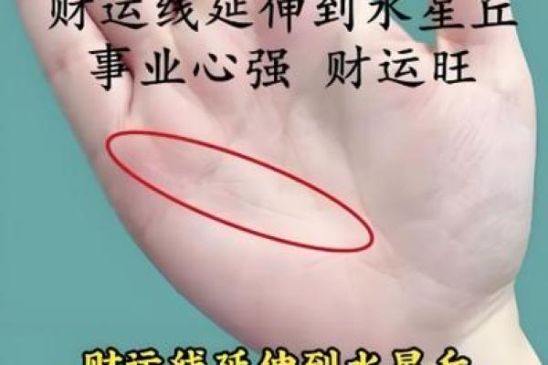 什么属相最有横财命？探索财富运势的奥秘