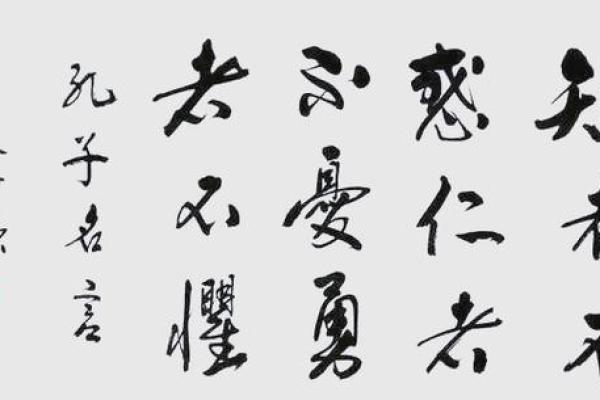 孔子对命运的深刻理解与人生智慧启示