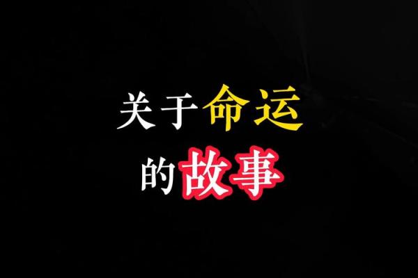木鸡命：一个关于命运与希望的动人故事