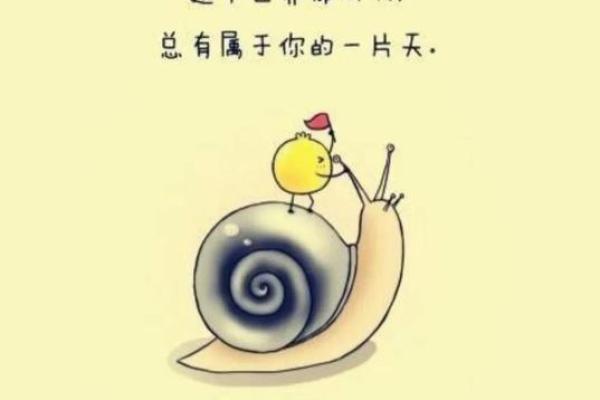 木鸡命：一个关于命运与希望的动人故事