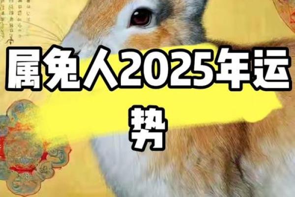 2023年：兔年新气象，属兔人的命运解析与人生智慧