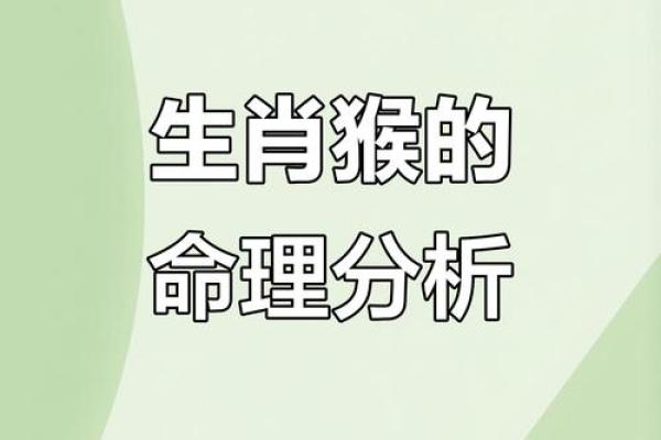 命衰的含义及其对应生肖解析，揭秘命运的奥秘与启示！
