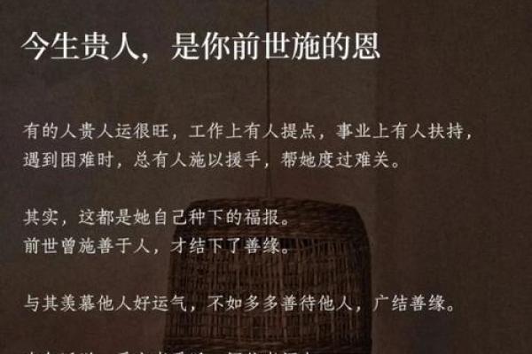 命依的深意与人生的哲理，探索命运与选择的关系