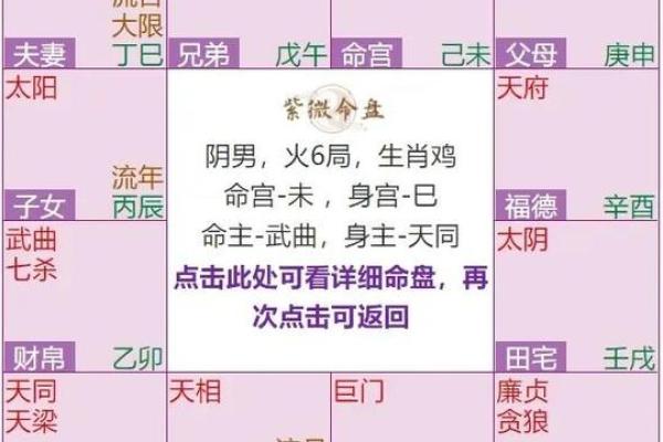 紫薇命盘中的紫薇星：命运之轮的掌控者与指南针
