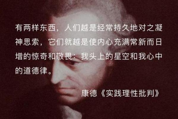 命曰天放：寻找内心自由的哲学之旅