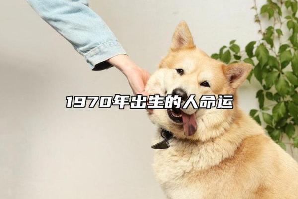 探索1970年出生的人的命运与性格特征