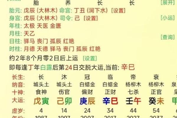 2002年出生的人五行分析与命理探秘