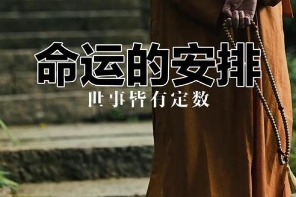 为何抱养命运降临，这背后隐藏了怎样的故事？