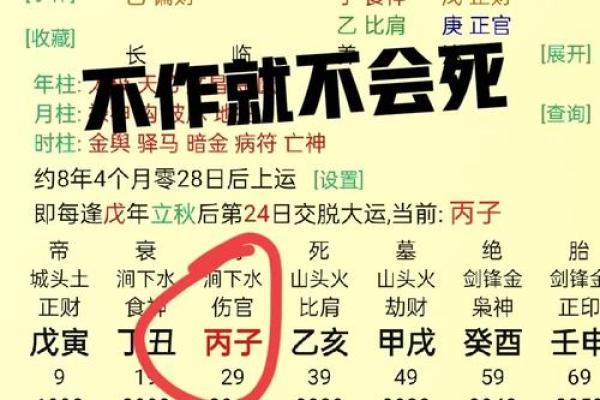 占卜你天生的命运，揭示神秘的命格之谜！