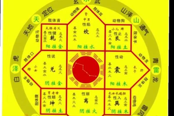 命格与脸相：破相的深层含义与看法