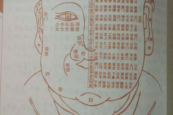 命理与面相：眉毛稀少的秘密解读与人生影响