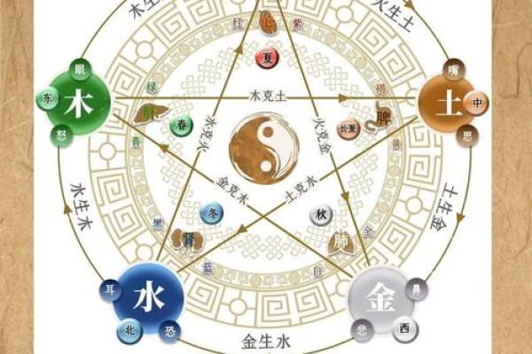 金木水火命的奥秘：解读命理中的五行之美与平衡