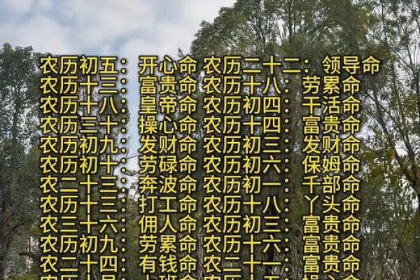 揭开1978年命卦的神秘面纱：探寻人生受益的智慧