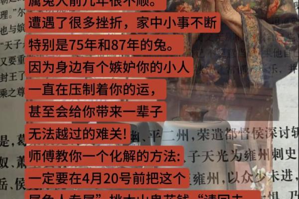73年兔子命运解析：兔子的性格与命运的深度探讨