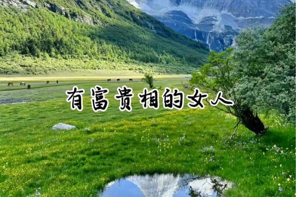 探寻女孩的富贵命：命理与人生的交织之美
