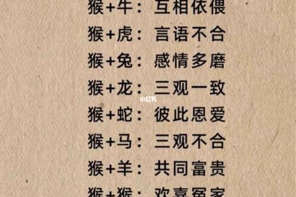 你是哪种命？探秘十二生肖的命理奥义与人生智慧！