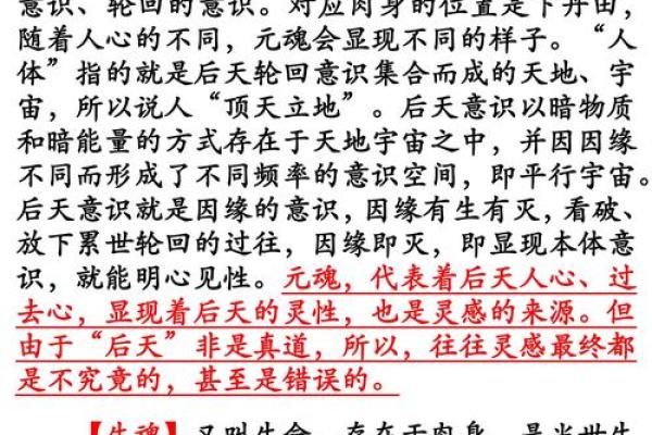 探究“要血命”的深刻含义与文化内涵