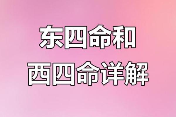 2006年命卦解析：揭示命运的奥秘与人生智慧