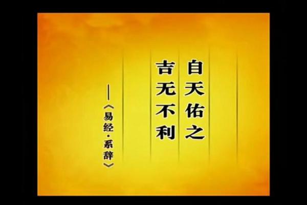 2006年命卦解析：揭示命运的奥秘与人生智慧