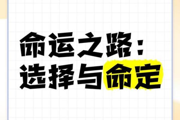 “什么车就是什么命”：解读生活中的选择与命运
