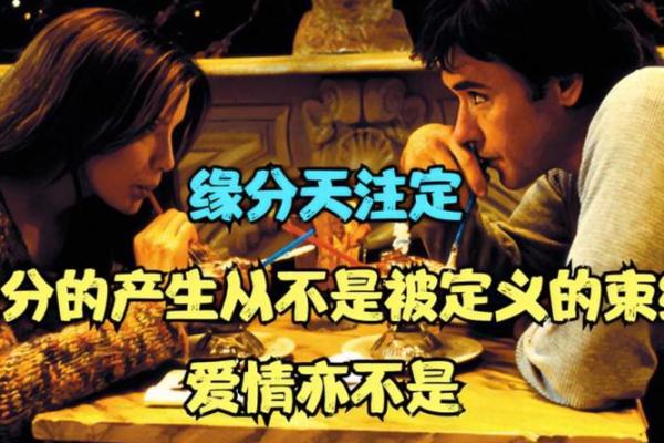19824年的命运与婚姻：爱与运势的交织